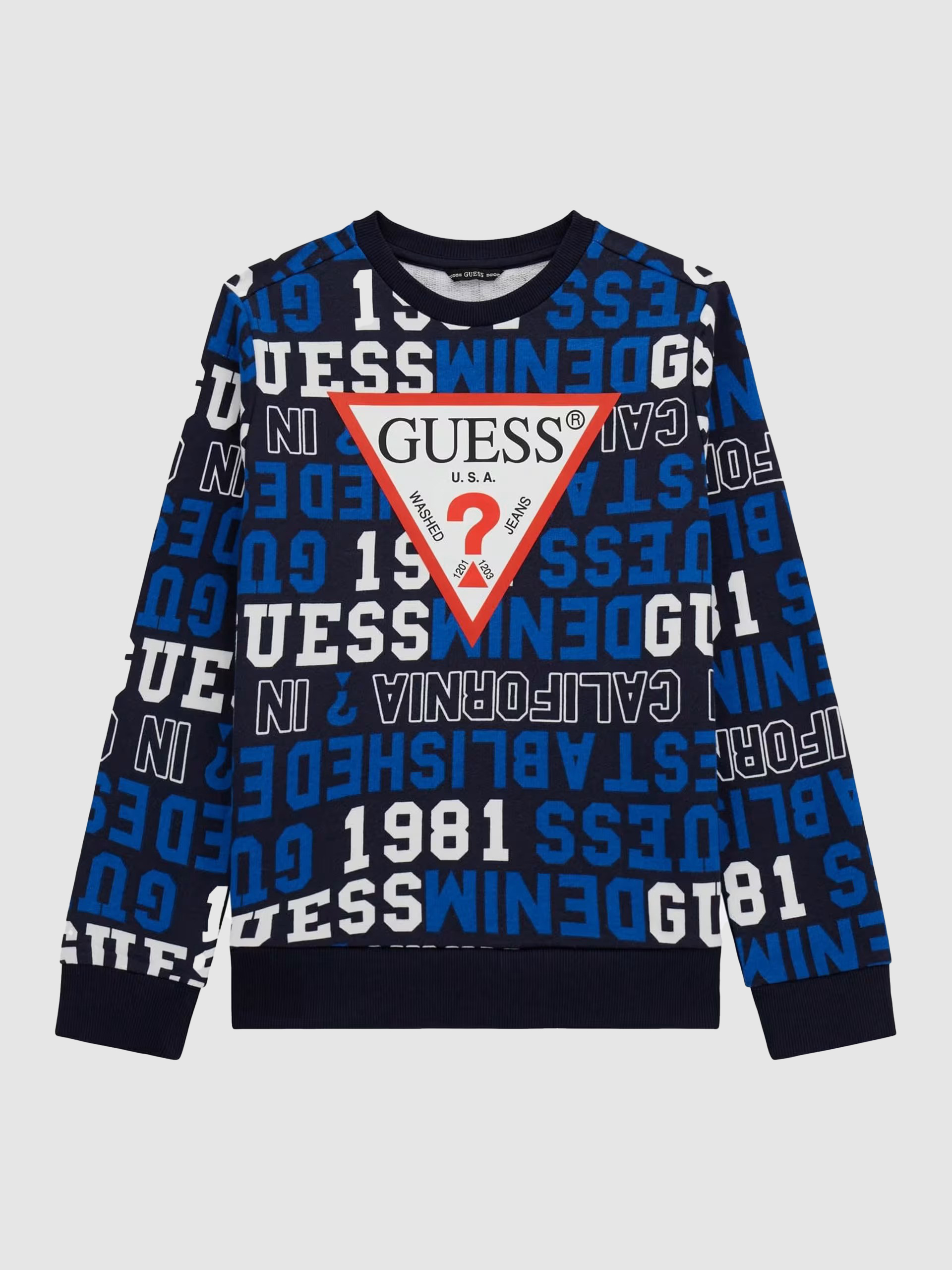 Jumper Boy Guess
