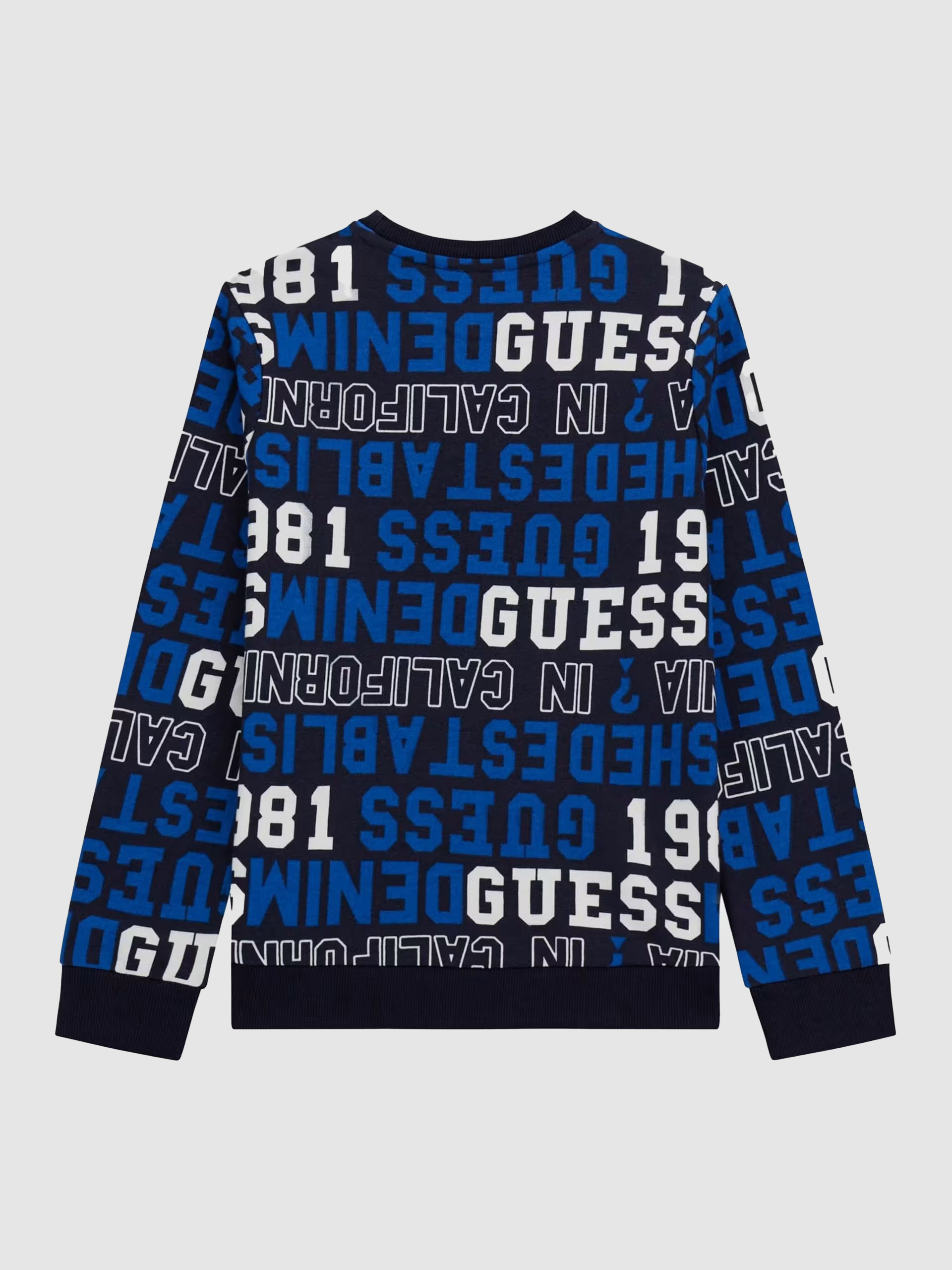 Jumper Boy Guess