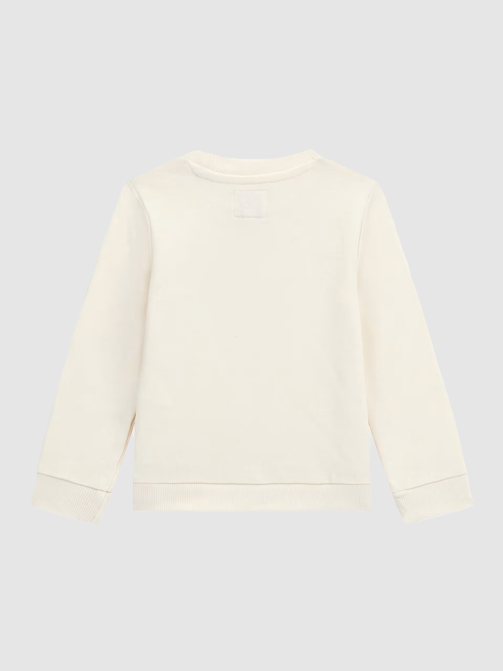Jumper Girl Guess