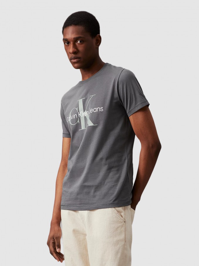 Camiseta Hombre Gris Calvin Klein