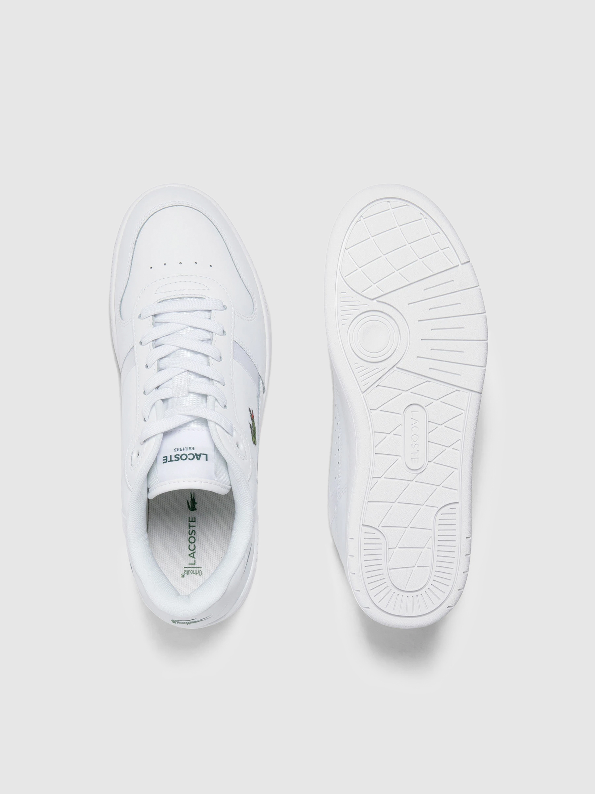 Sneakers Man Lacoste