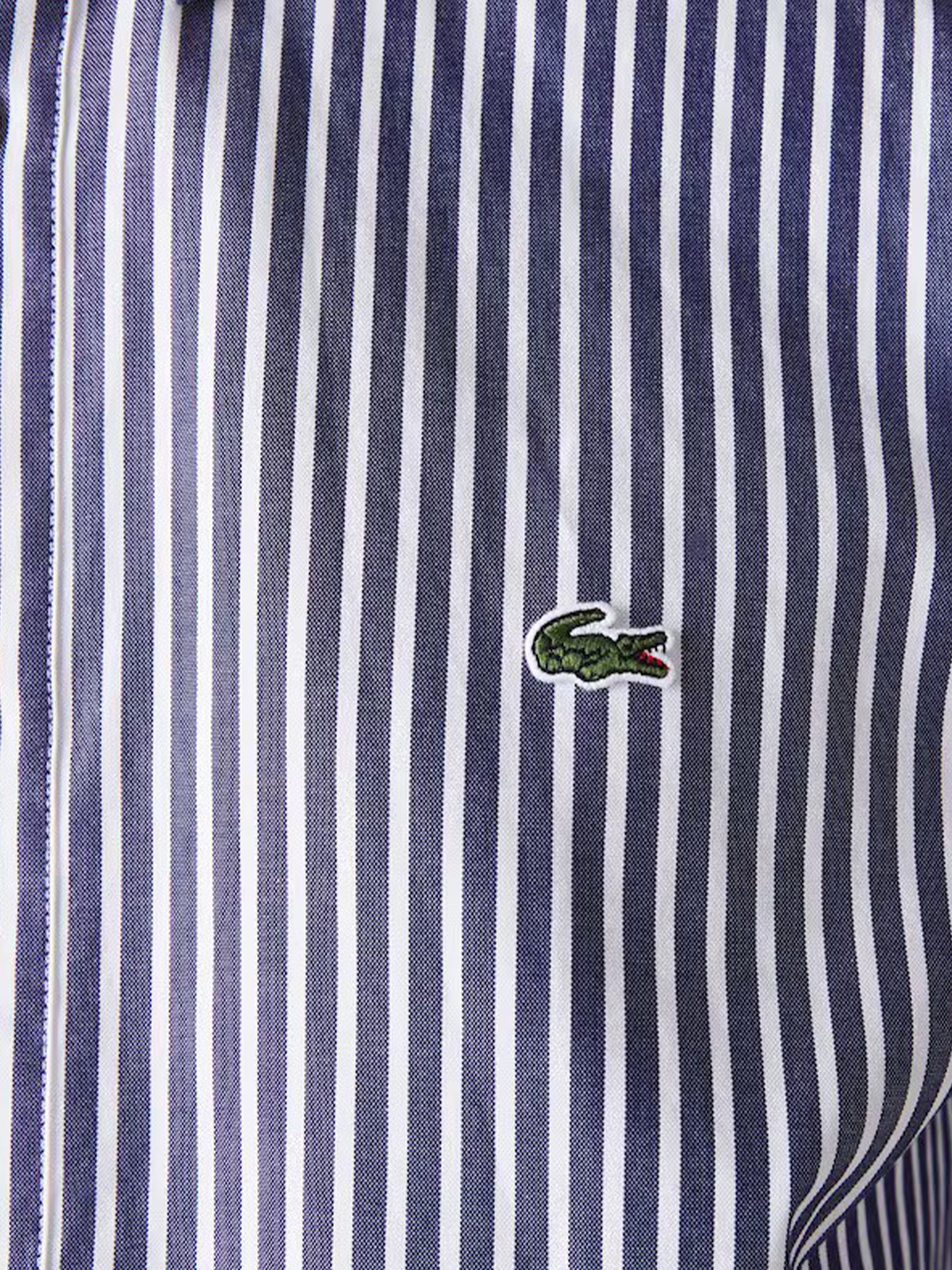 Shirt Man Lacoste
