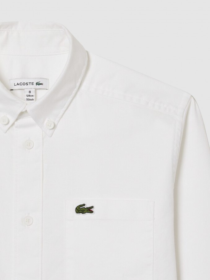 Camisa Niño Lacoste