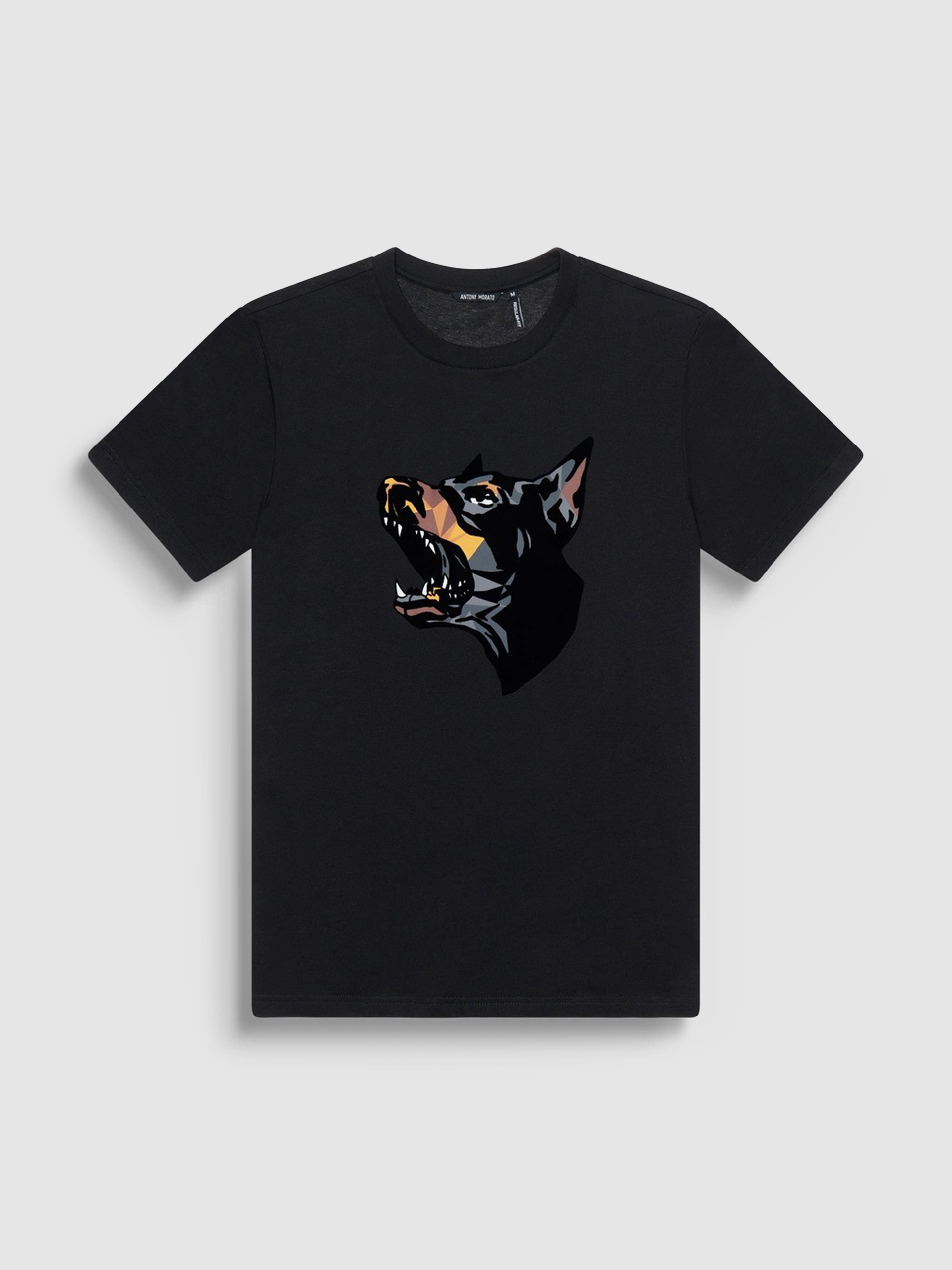 T-Shirt Man Antony Morato