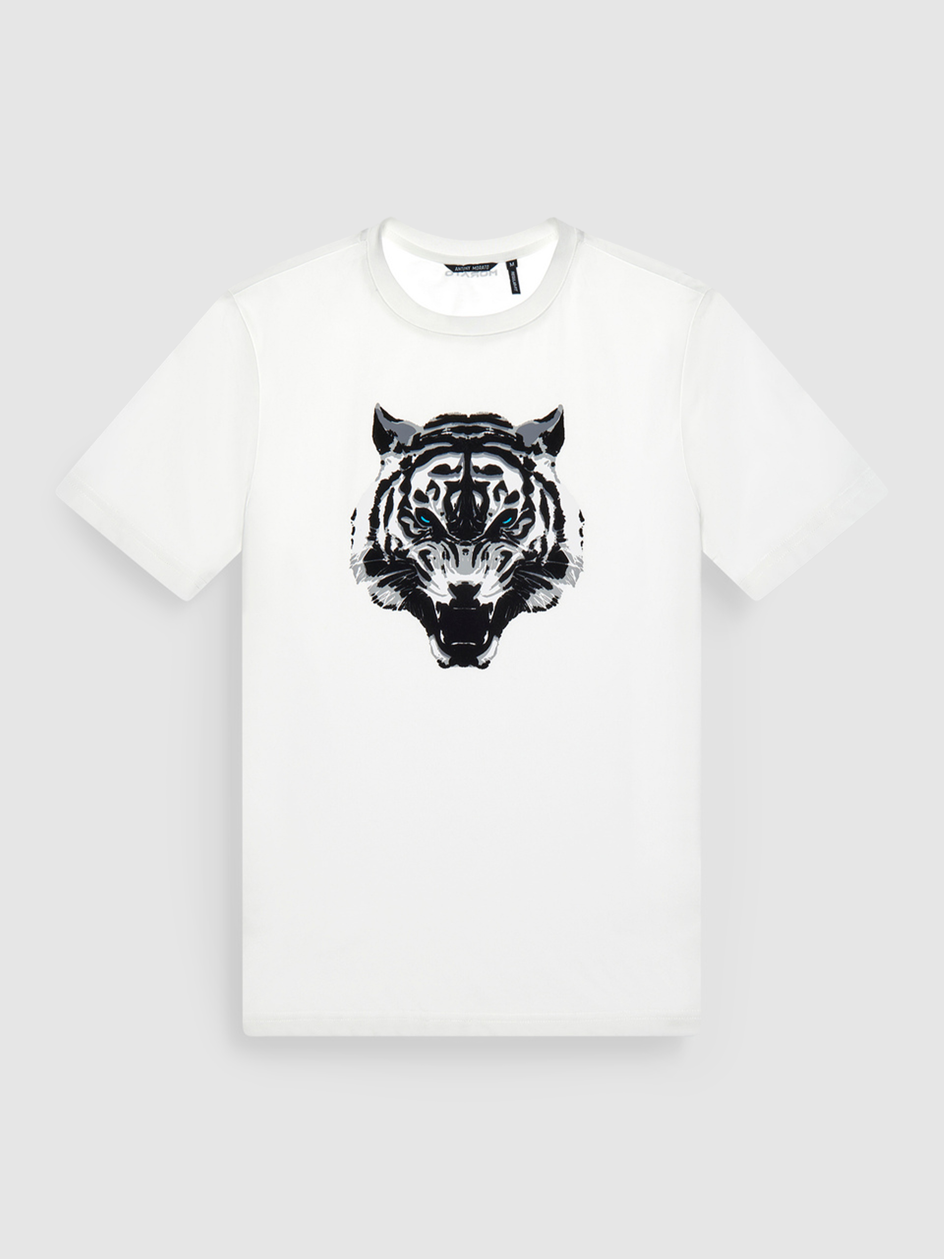 T-Shirt Man Antony Morato