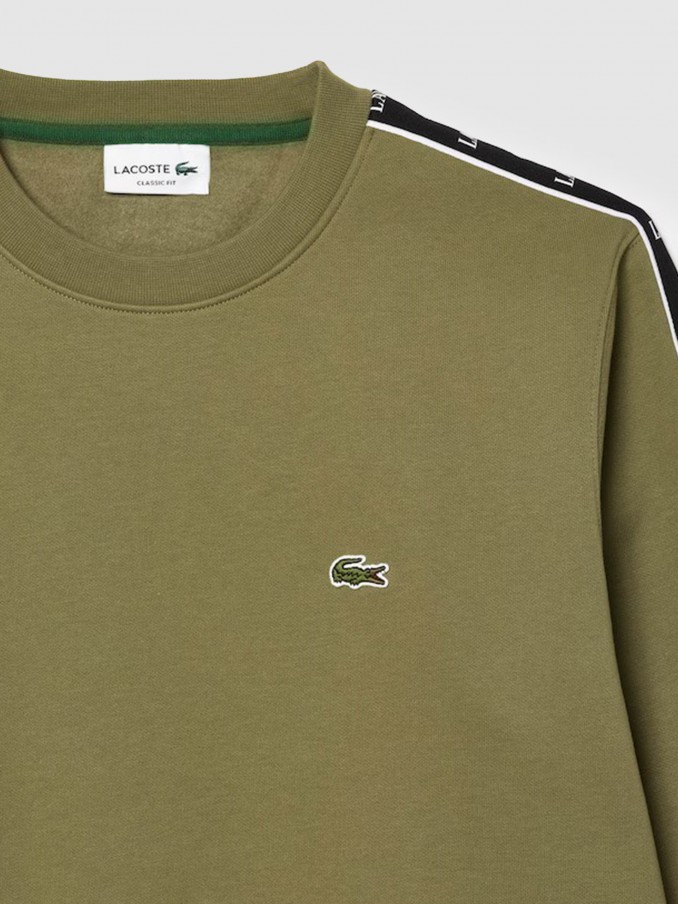 Jumper Man Lacoste
