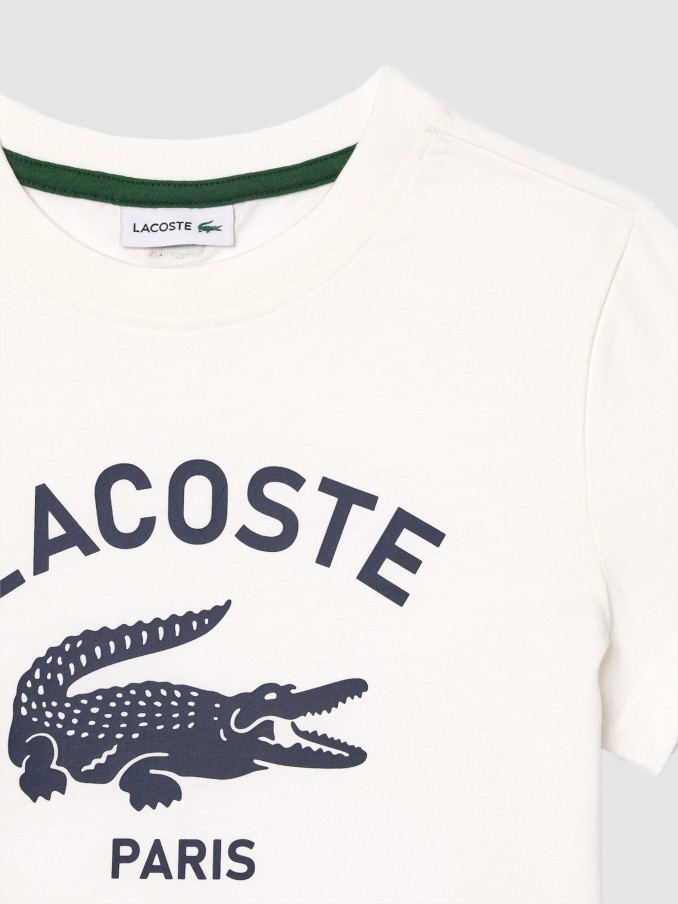 T-Shirt Boy Lacoste