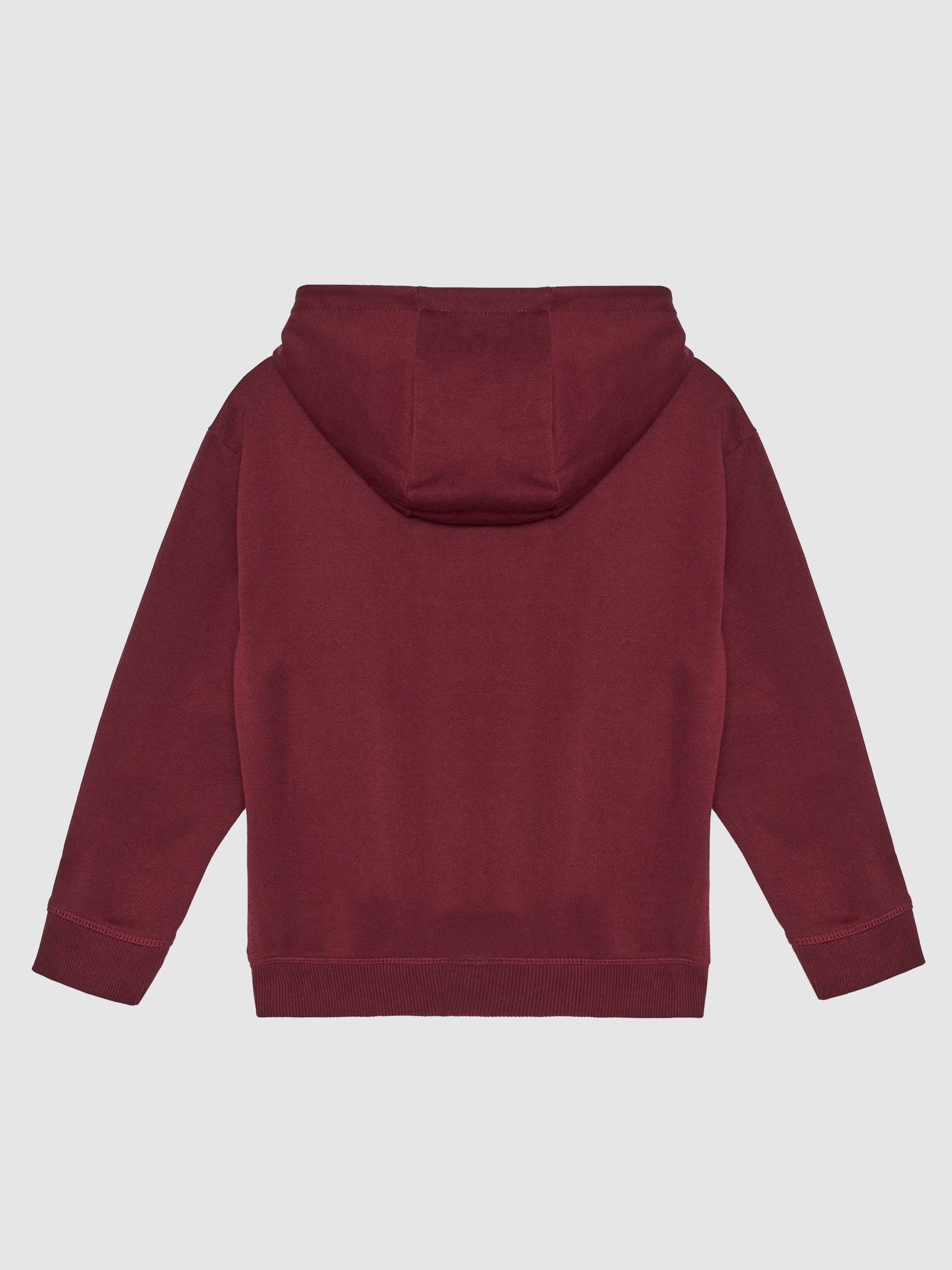 Jumper Boy Guess