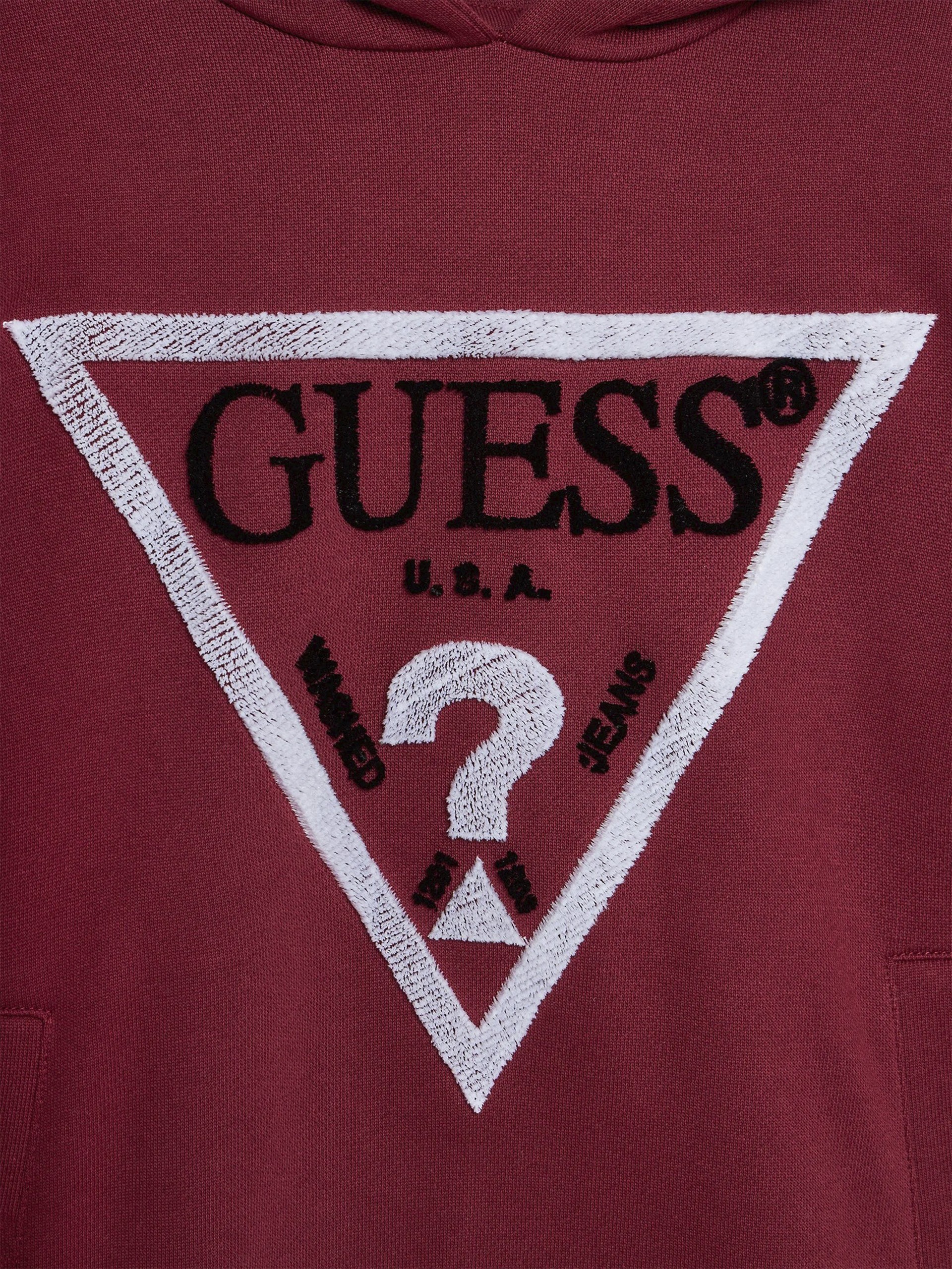 Jumper Boy Guess