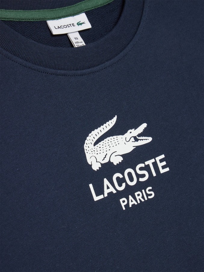 Jersey Niño Lacoste