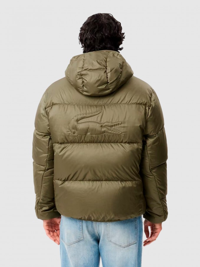 Jacket Man Lacoste
