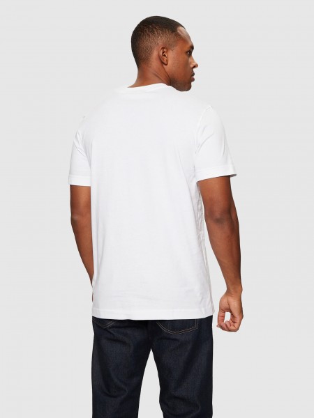 T-Shirt Man Calvin Klein