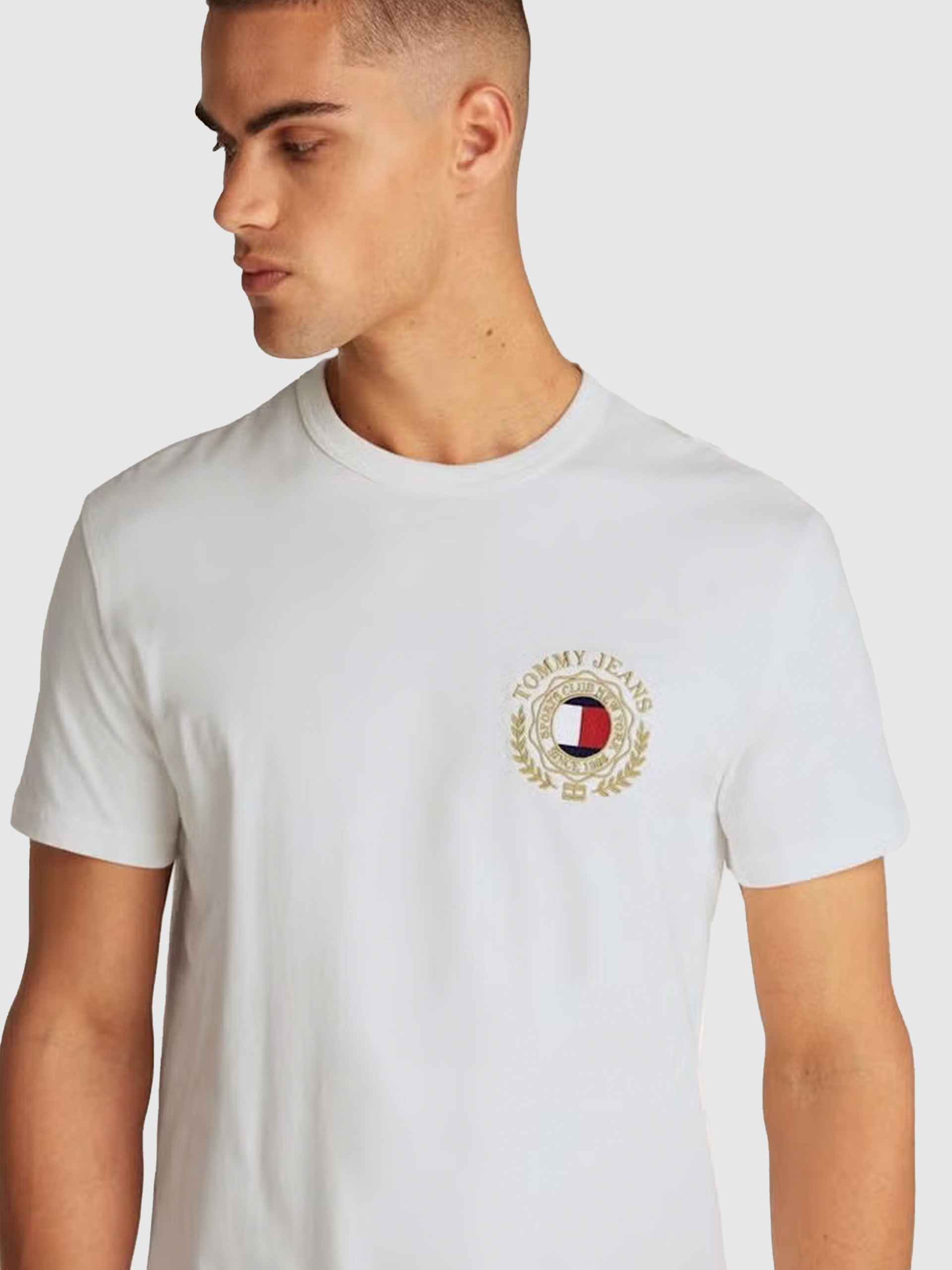 Camiseta Hombre Tommy Jeans