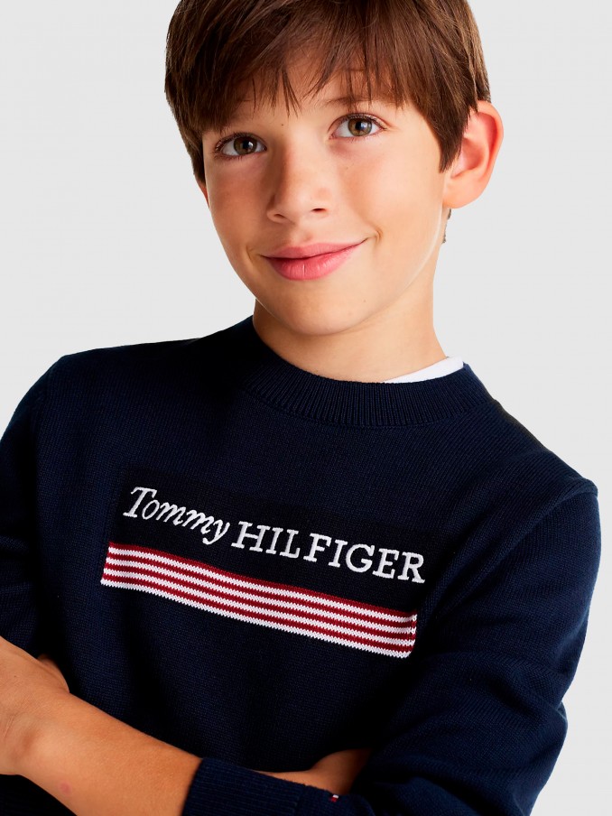 Camisolas Menino Monotype 1985 Reg Sweater Tommy Hilfiger- Kids