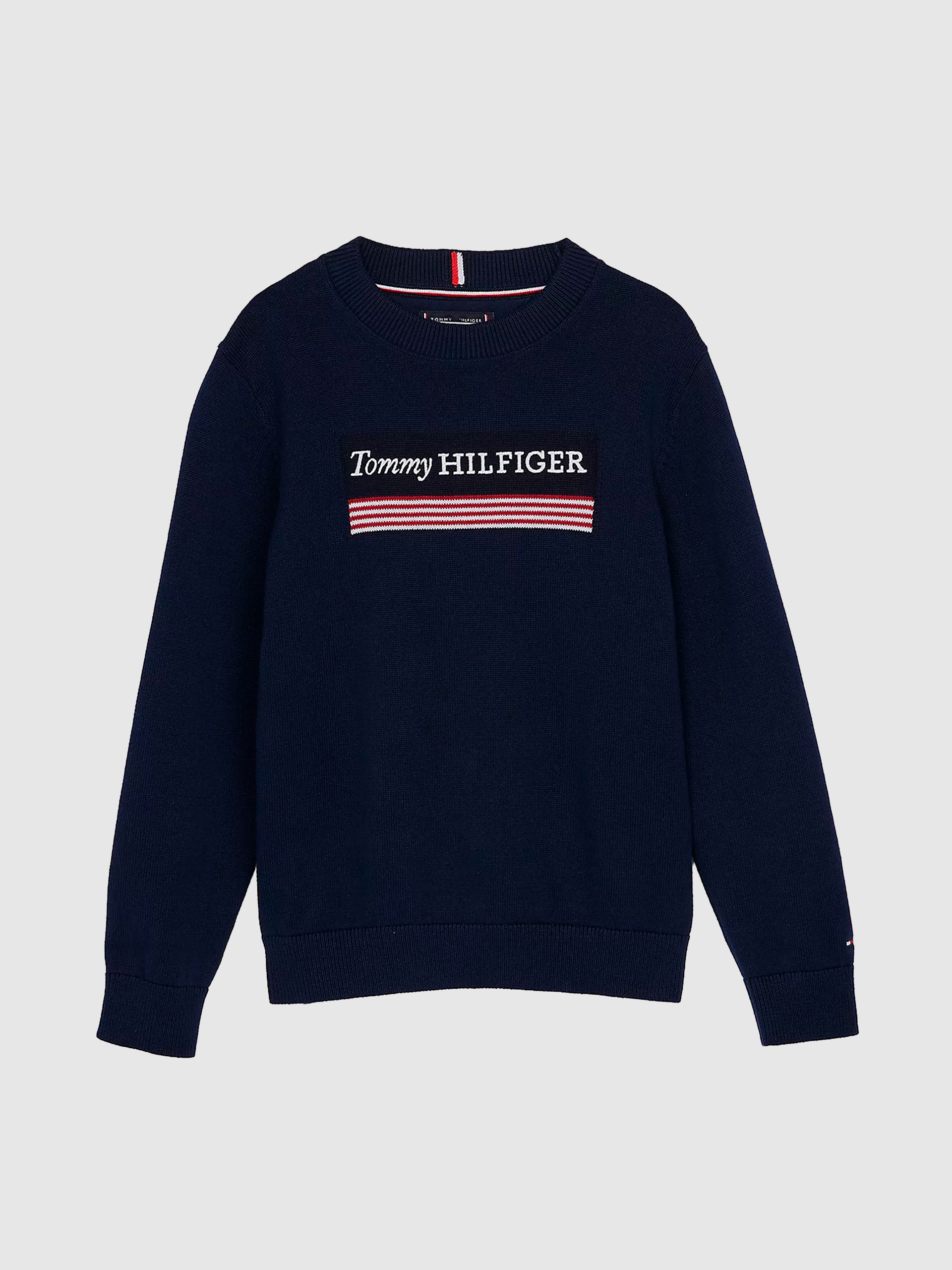 Camisolas Menino Monotype 1985 Reg Sweater Tommy Hilfiger- Kids