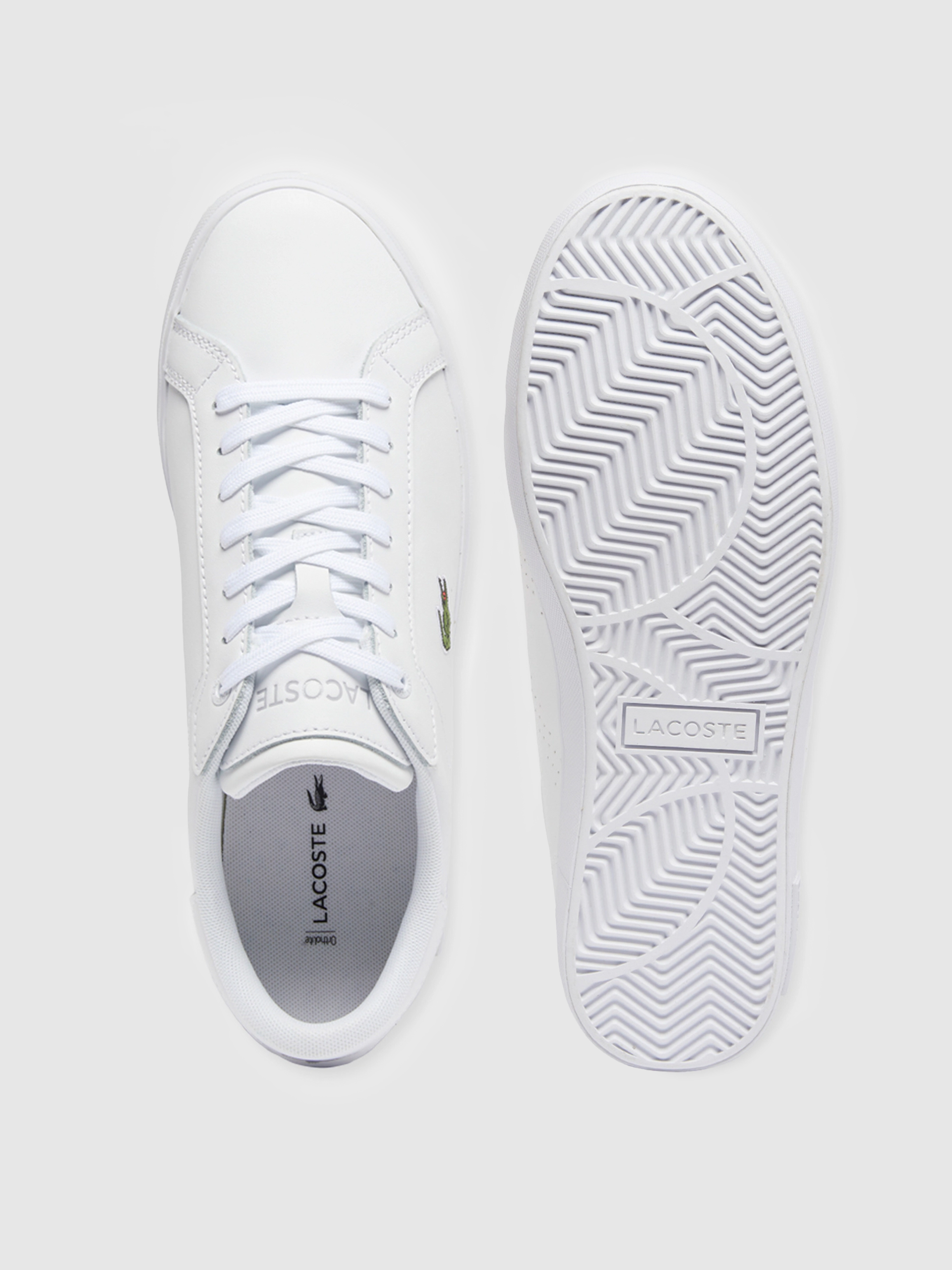 Sneakers Man Lacoste