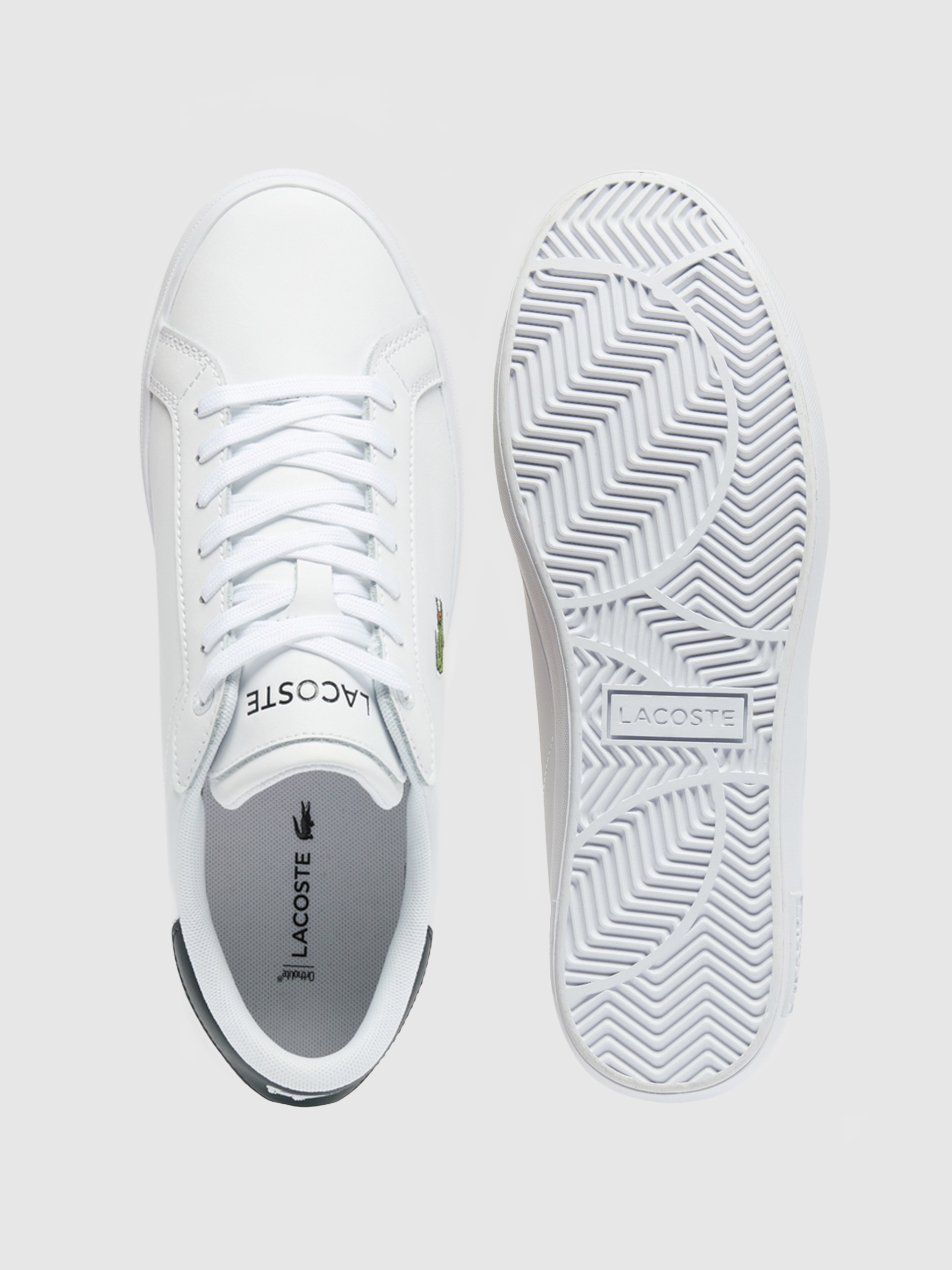 Sneakers Man Lacoste