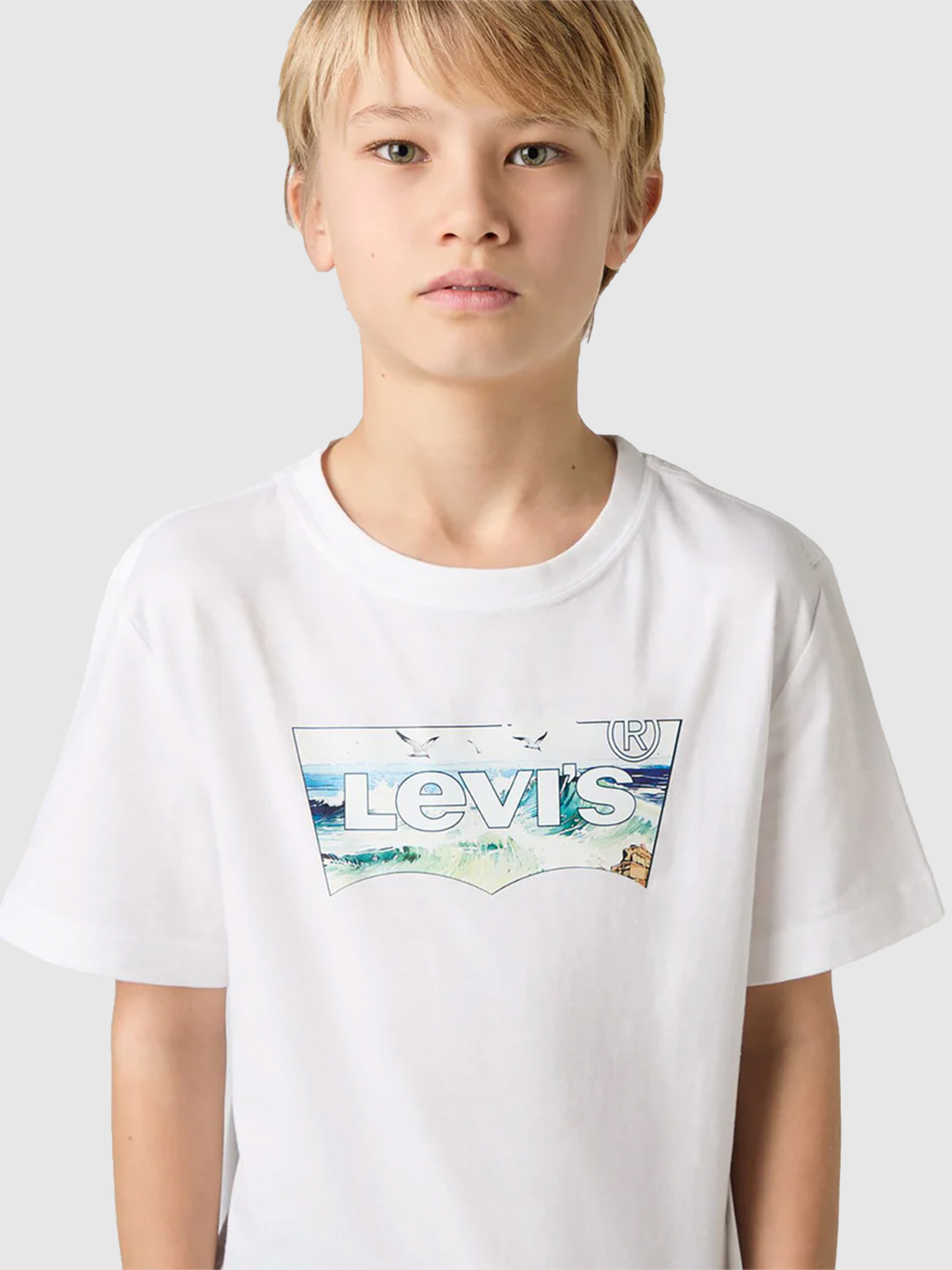 T-Shirt Boy Levis