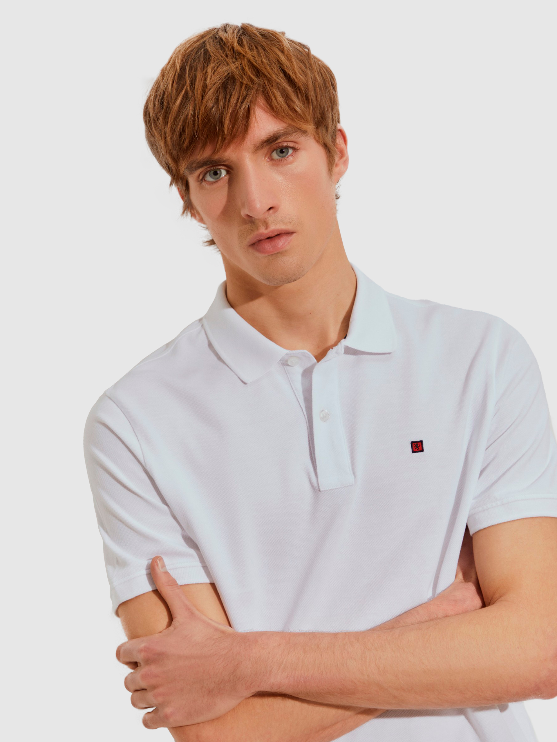Polo Shirt Man Lion Of Porches