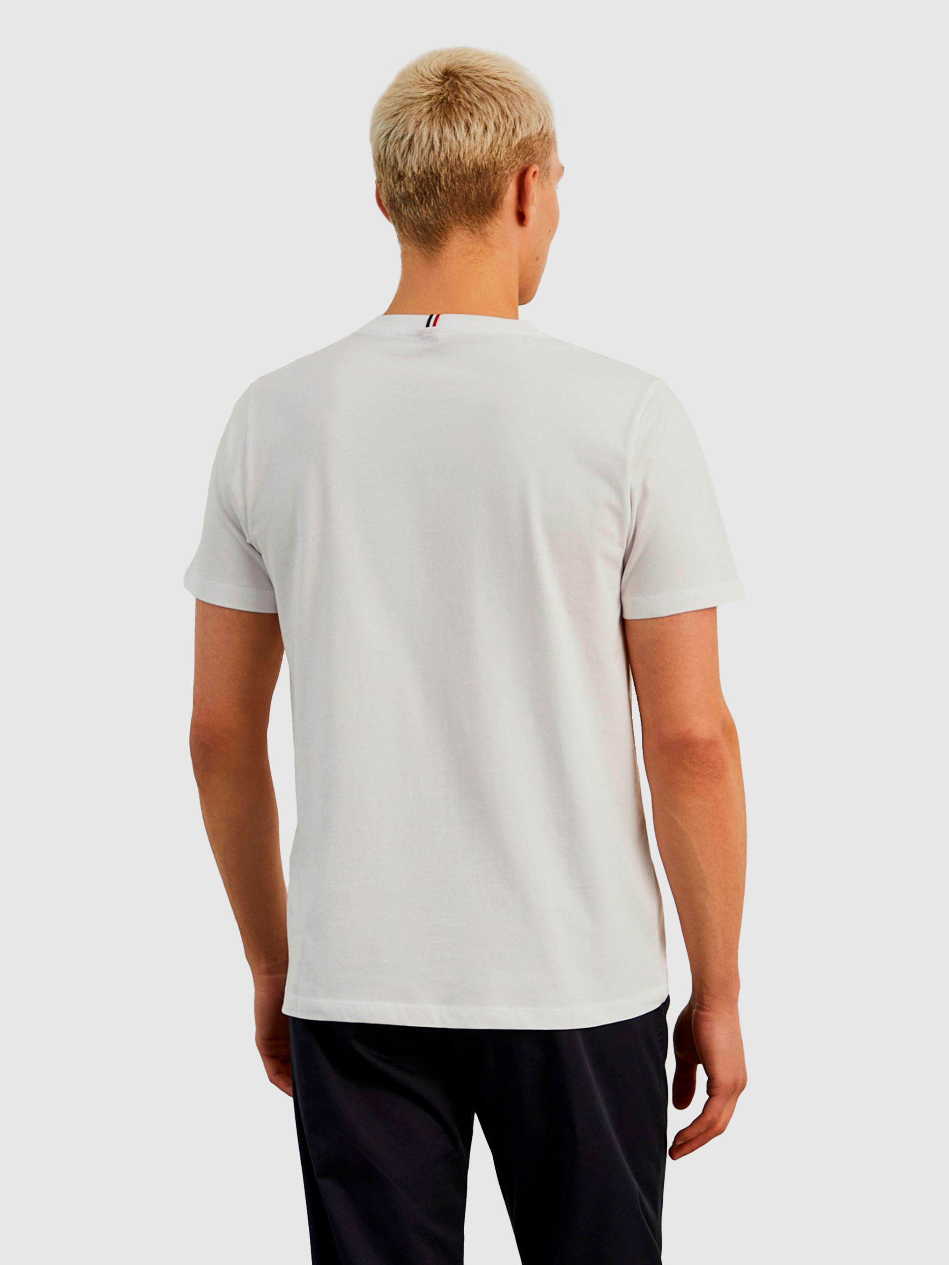 T-Shirt Man Lion Of Porches