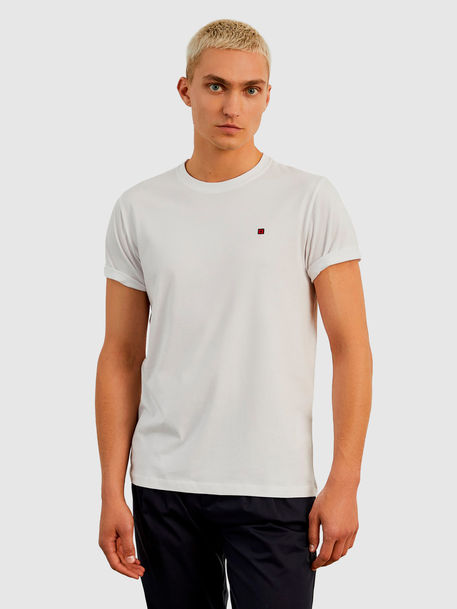 T-Shirt Man Lion Of Porches