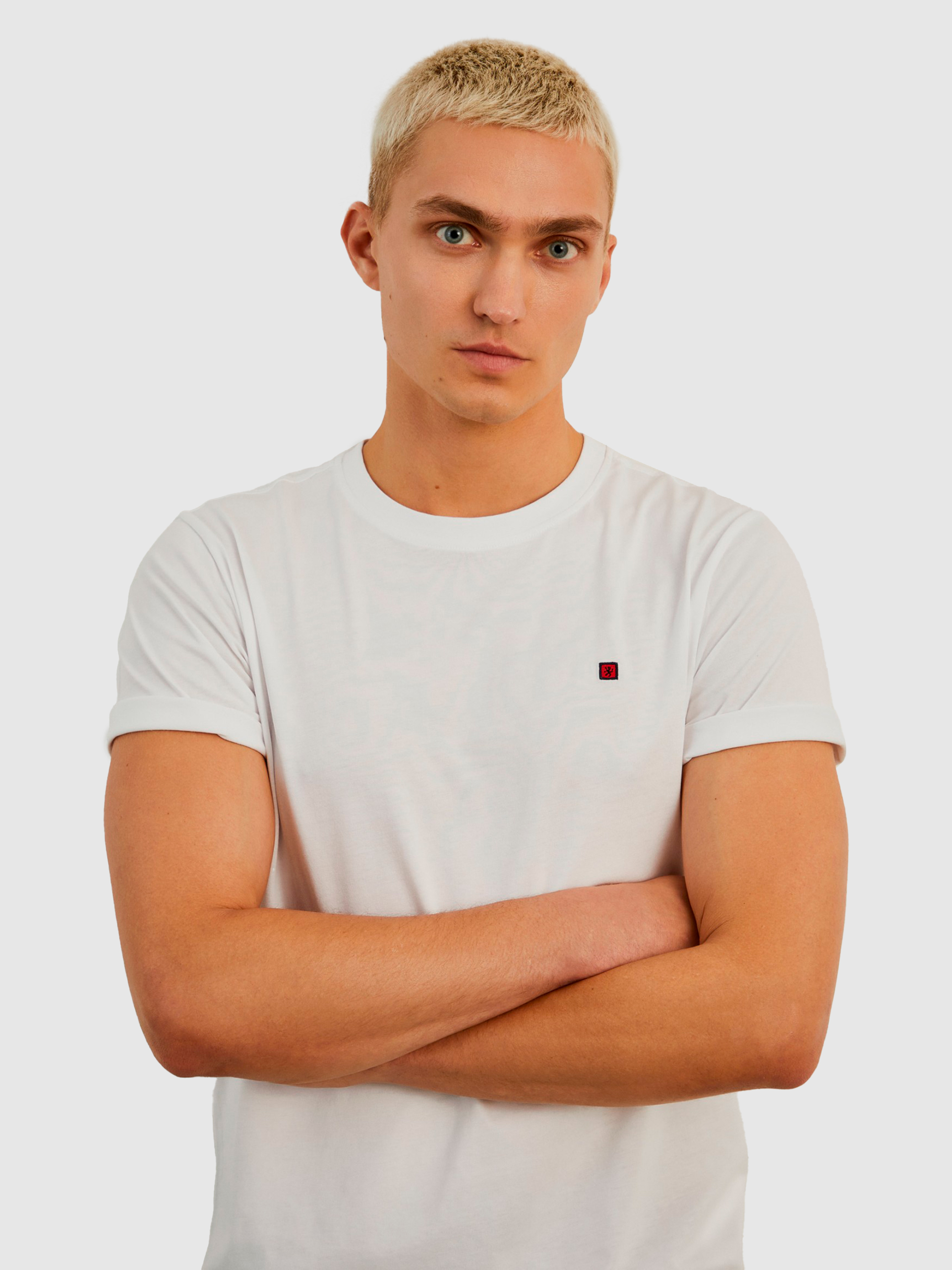 T-Shirt Man Lion Of Porches