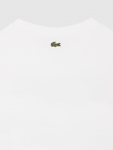 T-Shirt Boy Lacoste
