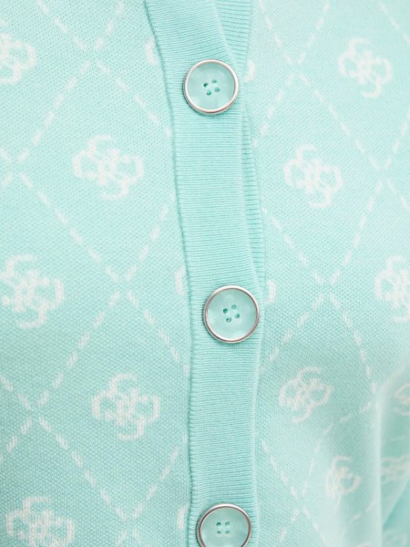 Nightgown Woman Guess