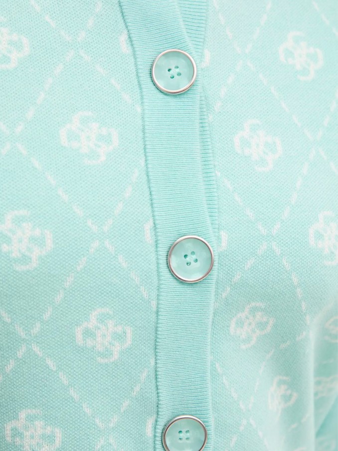 Nightgown Woman Guess