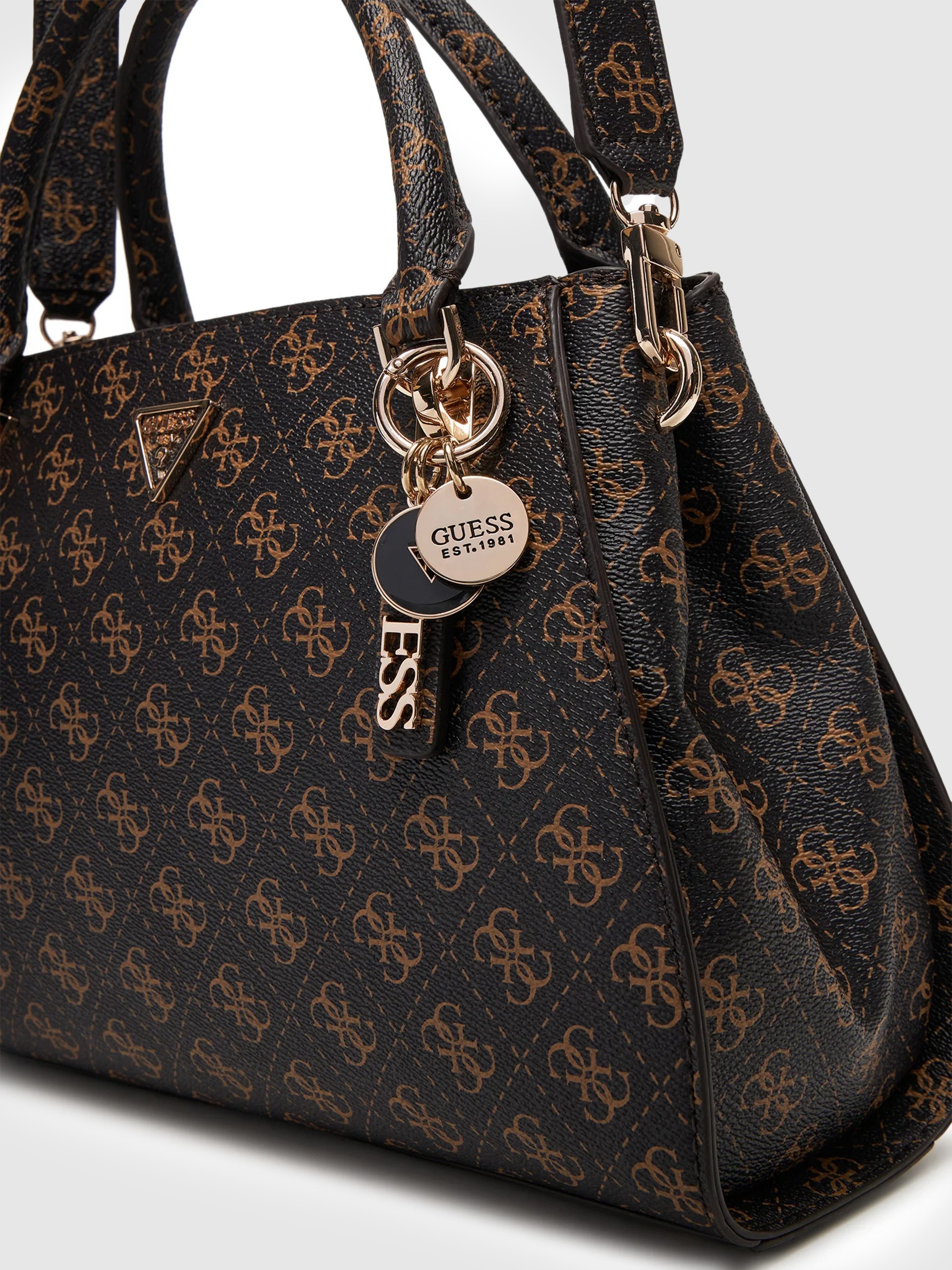 Handbag Woman (Black W / Brown Guess