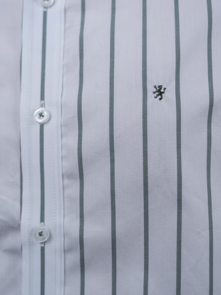 Camisas Homem Lion Of Porches