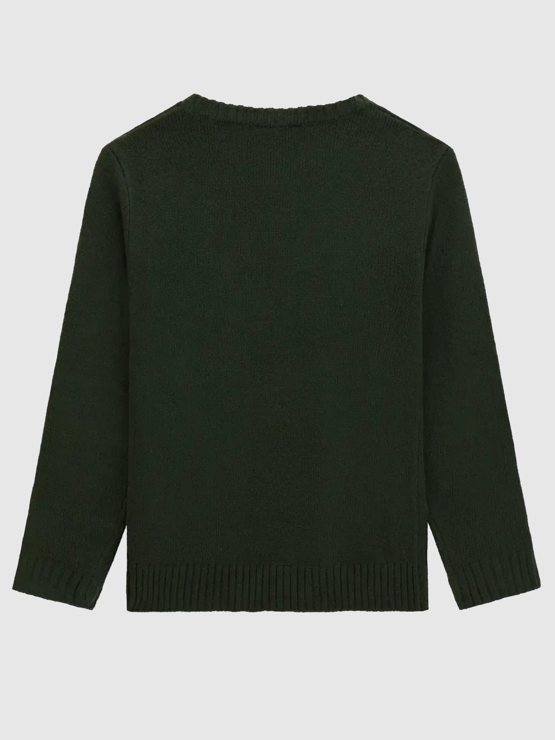 Jumper Boy Green Guess