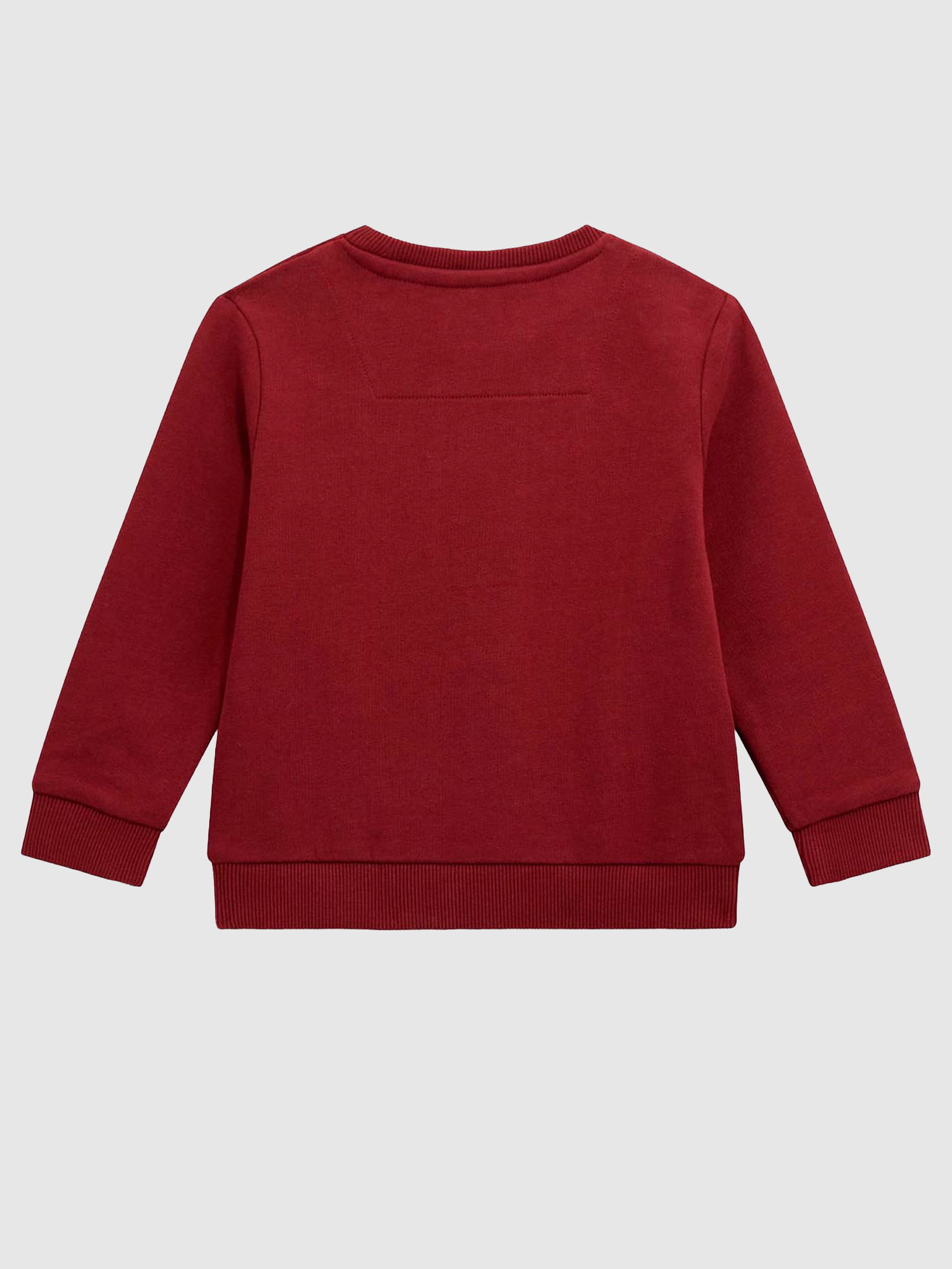 Jumper Boy Bordeaux Guess