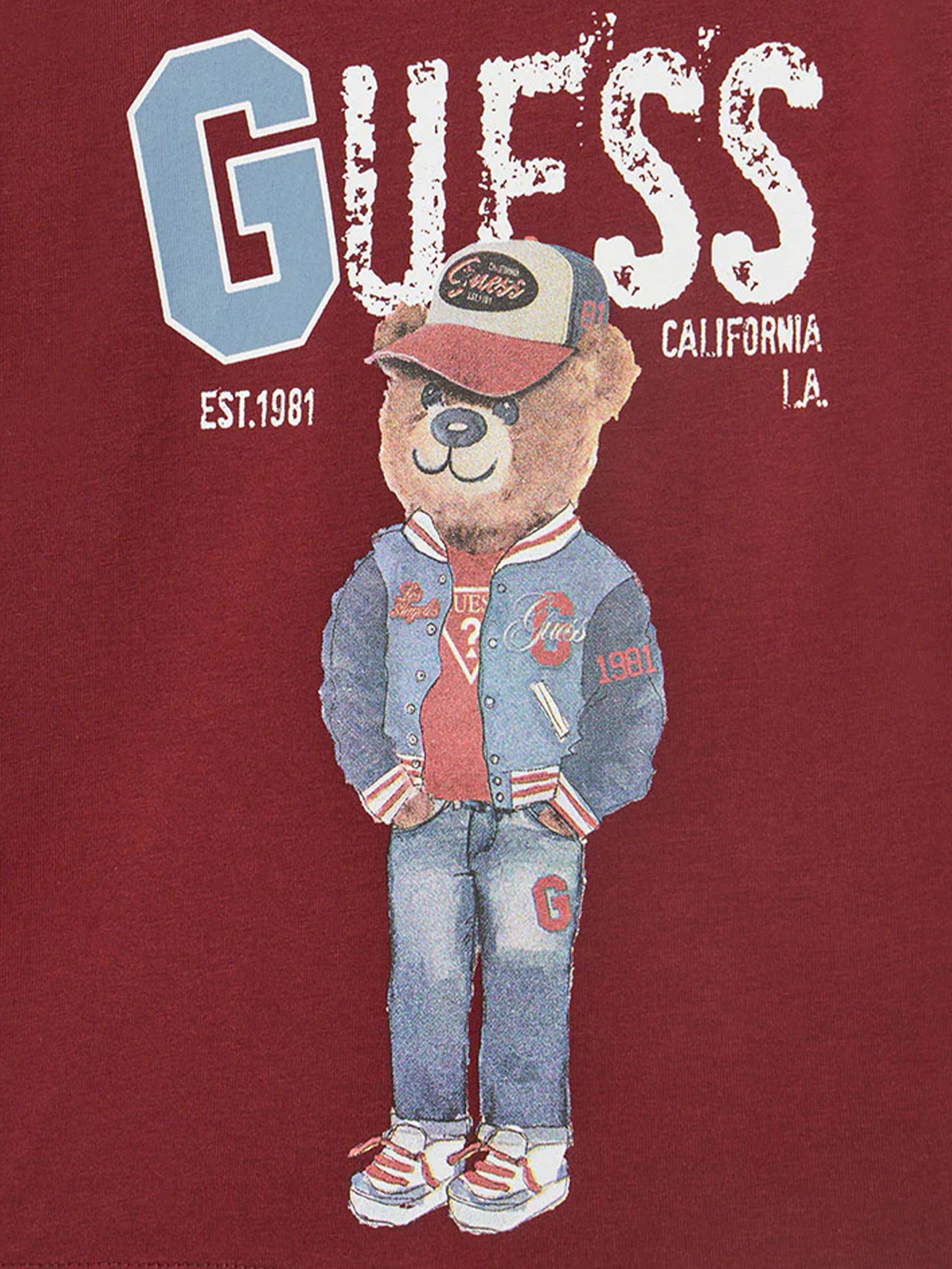 Jumper Boy Bordeaux Guess