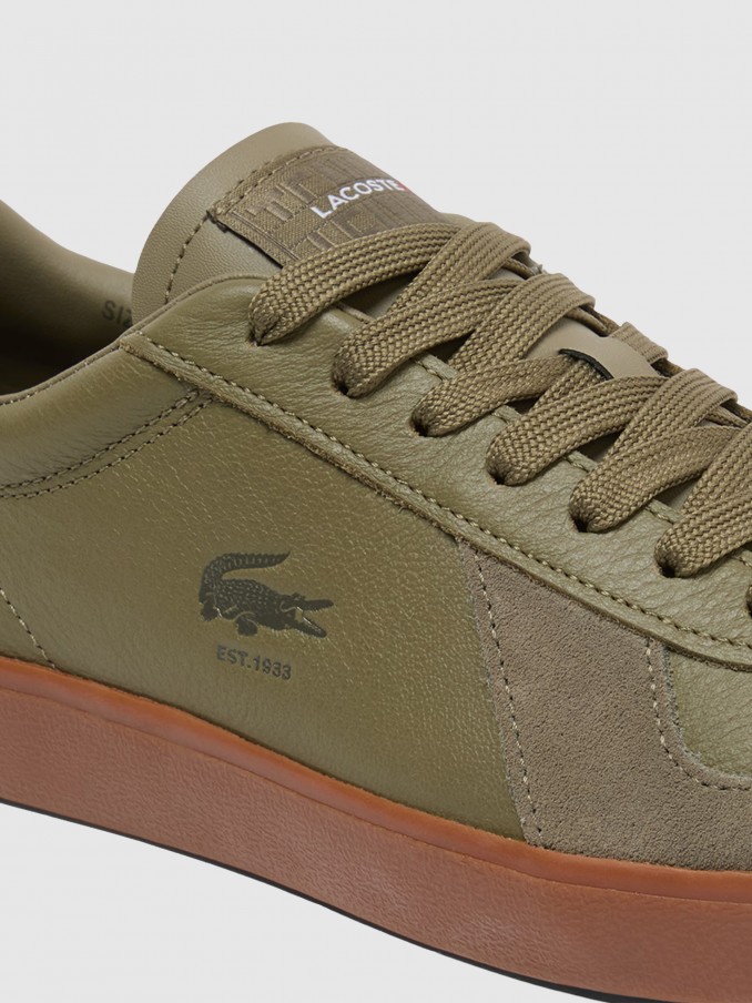 Sneakers Man Green Lacoste