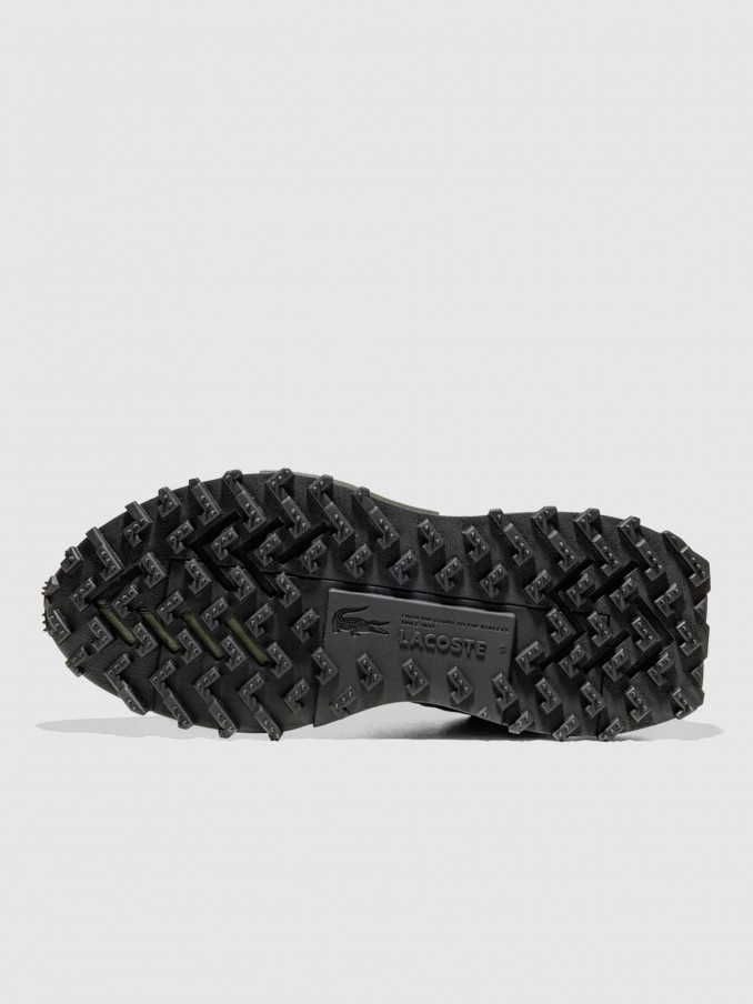 Sneakers Man Green Lacoste