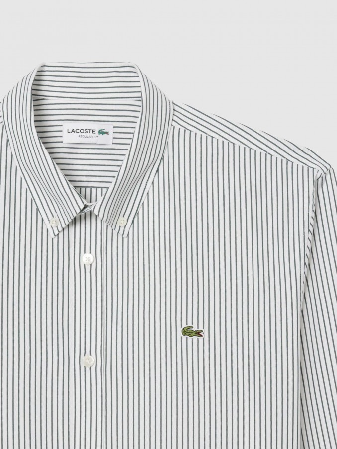 Shirt Man Green Stripe Lacoste
