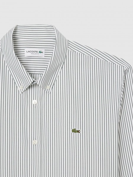 Shirt Man Green Stripe Lacoste