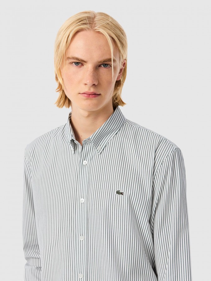 Shirt Man Green Stripe Lacoste