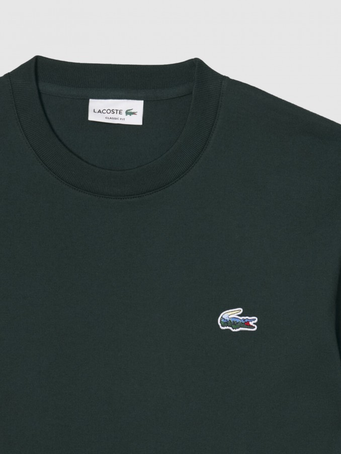 T-Shirt Man Green Lacoste