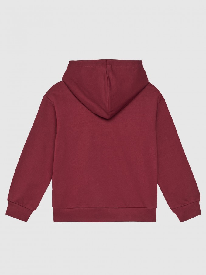 Jumper Girl Bordeaux Guess