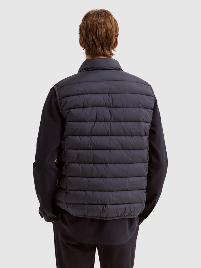 Jacket Man Navy Blue Lion Of Porches