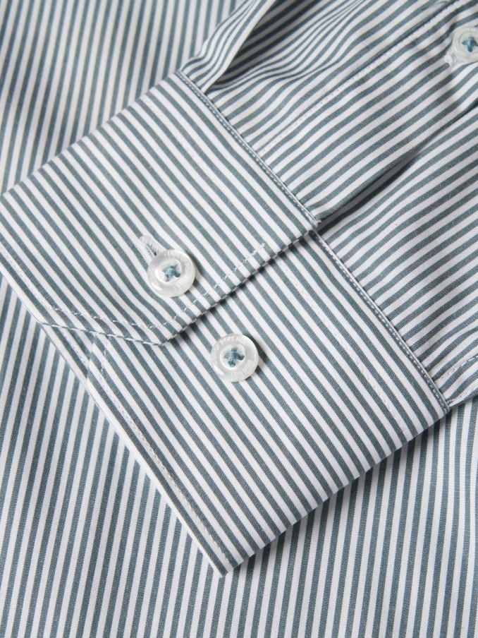 Shirt Man Green Stripe Lion Of Porches