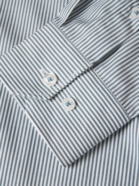 Shirt Man Green Stripe Lion Of Porches