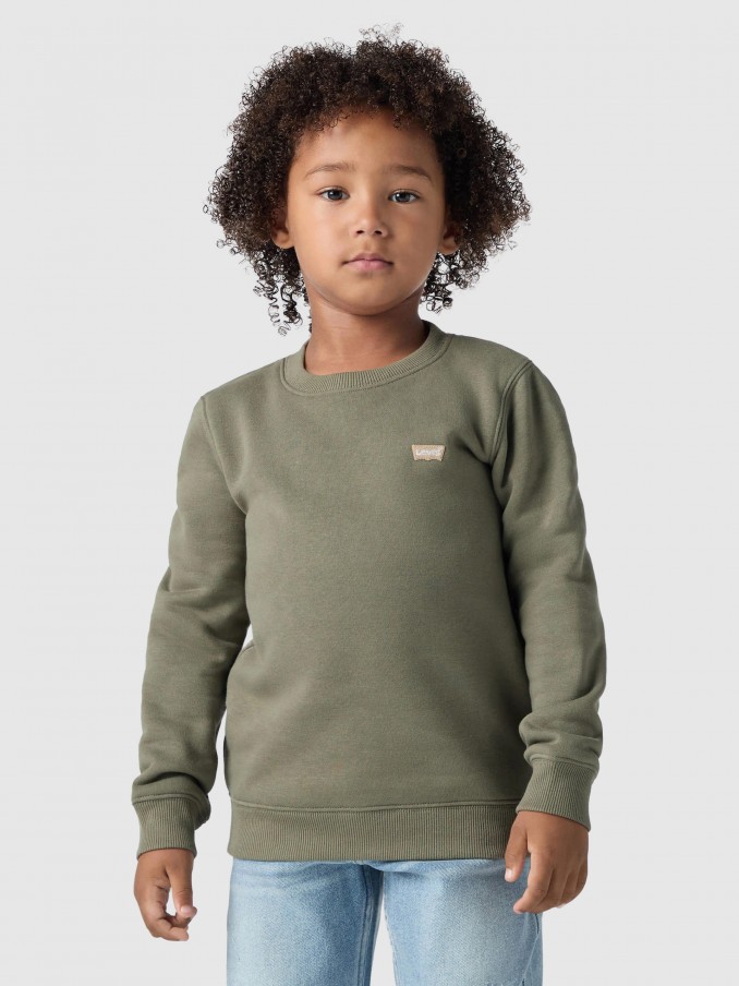 Jumper Boy Green Levis