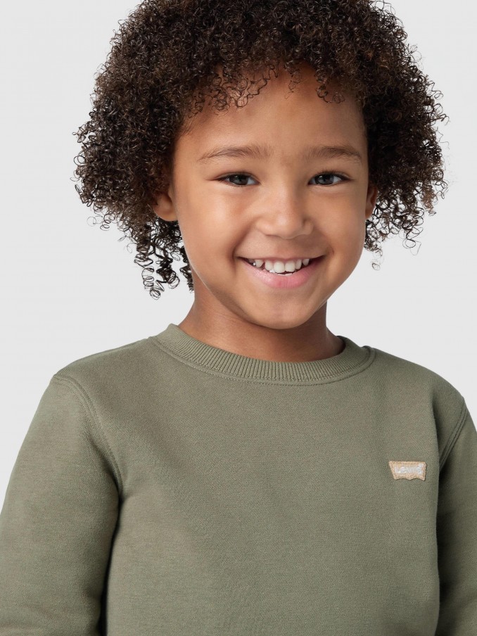 Jumper Boy Green Levis