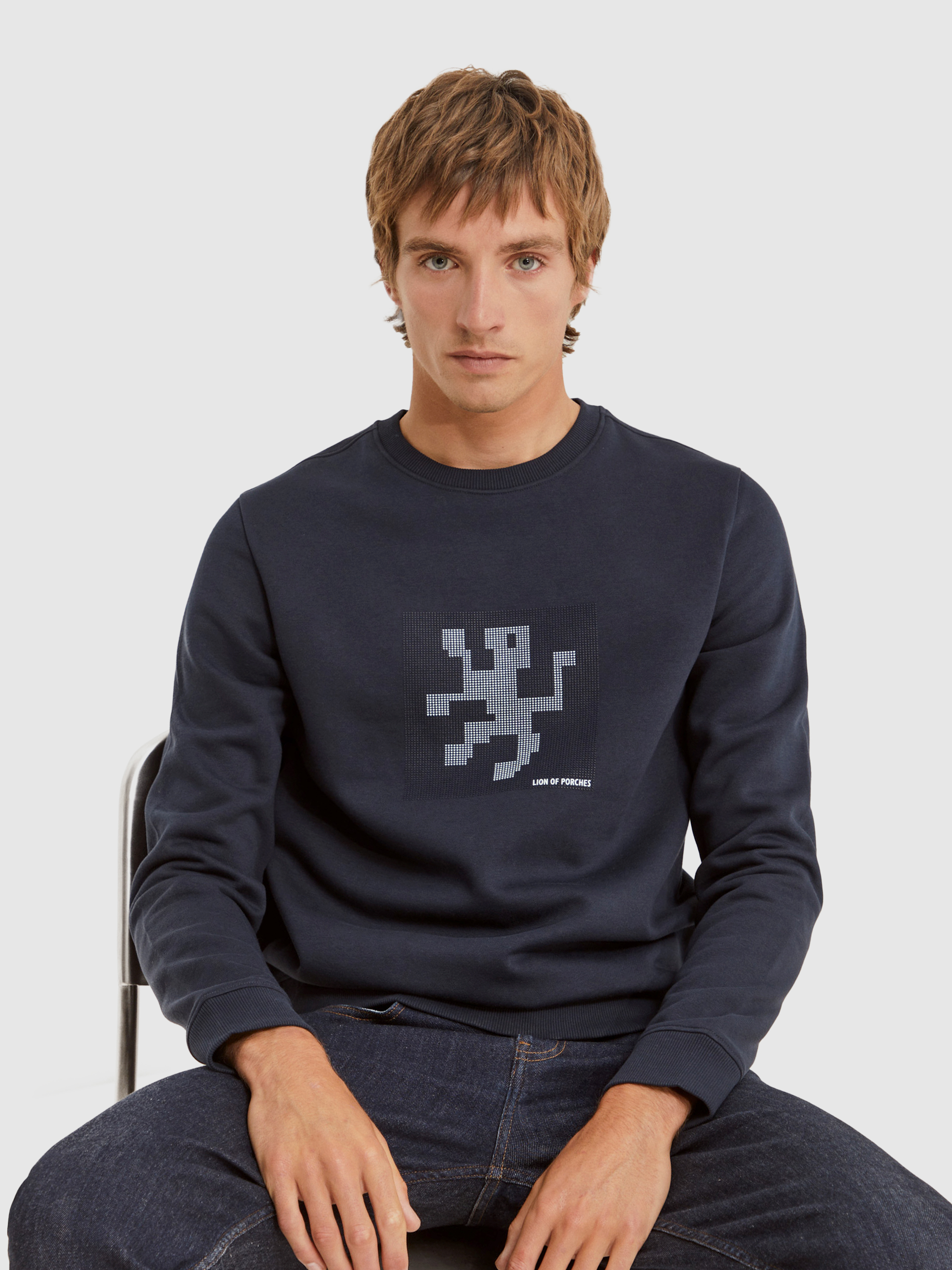 Jumper Man Navy Blue Lion Of Porches