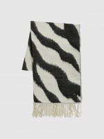 Zebra Zebra