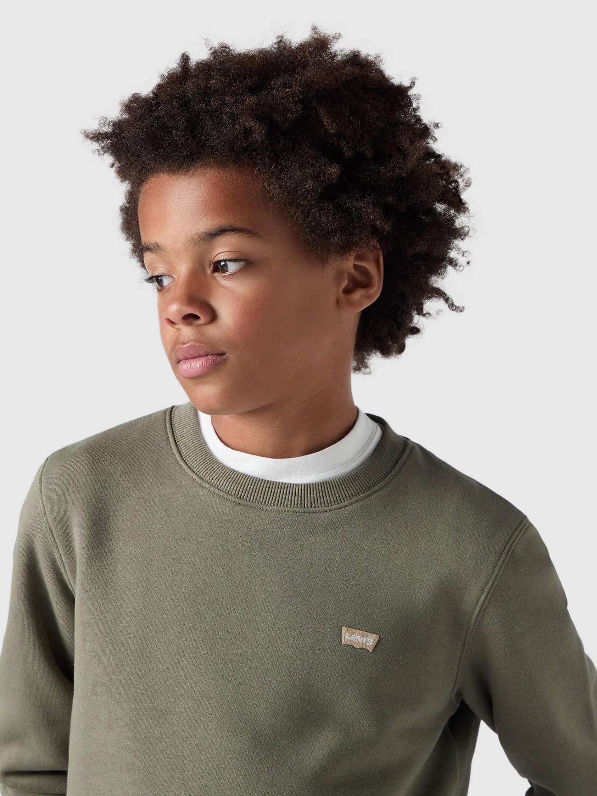 Jumper Boy Green Levis