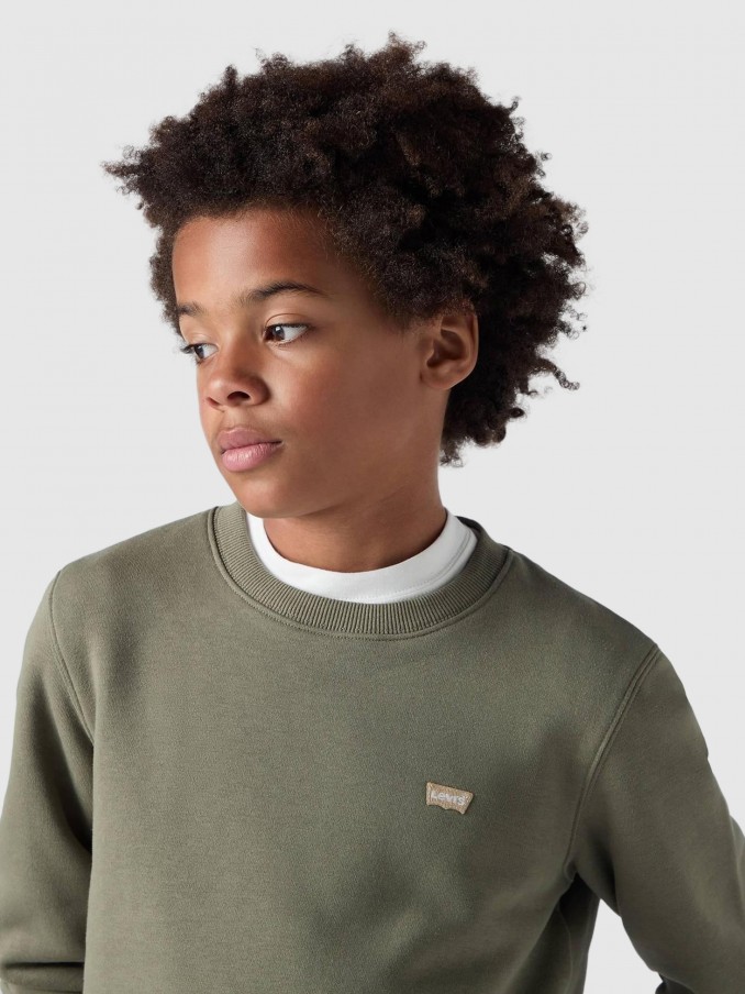 Jumper Boy Green Levis